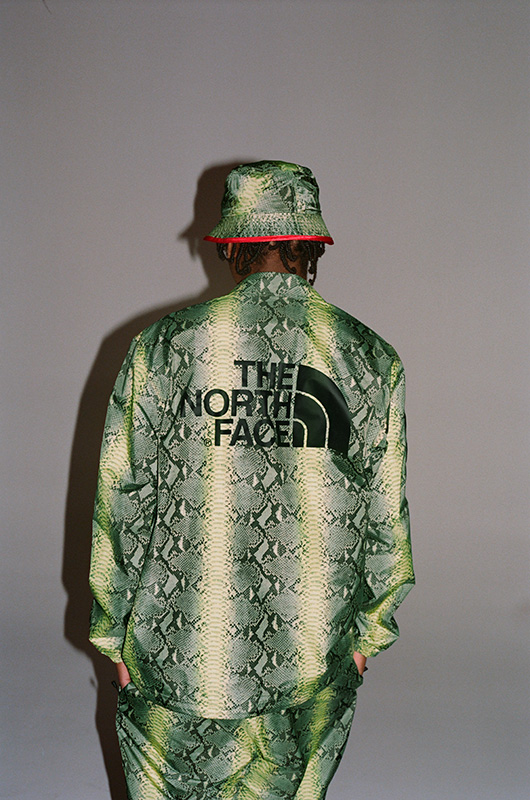 supreme  northface Snakeskin jacket